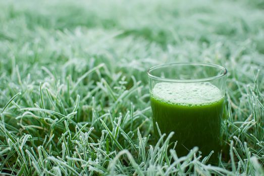 healthy organic green detox juice in a frozen grass