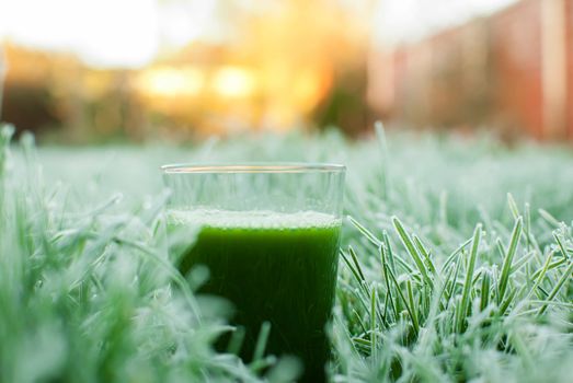 healthy organic green detox juice in a frozen grass