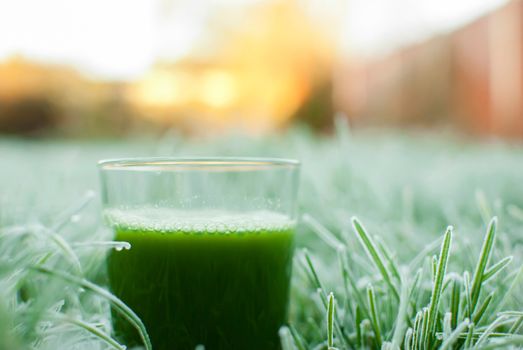 healthy organic green detox juice in a frozen grass