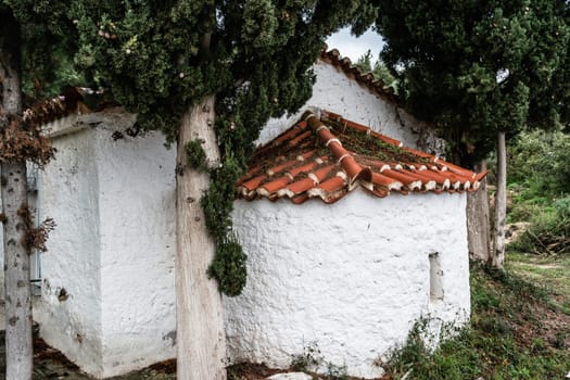 A small Orthodox Church in the trees