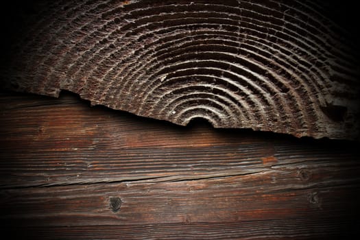 fir cracked stump over old plywood, abstract texture