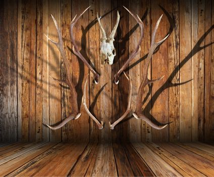 abstract view of hunting trophies on wooden finished room