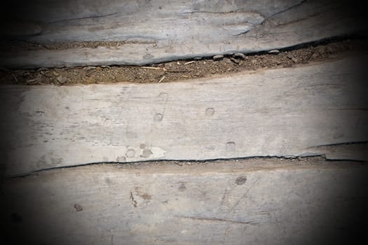 vintage poplar wood texture, image taken on a plank exposed to weather for more than 200 years