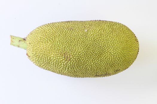 Young Jack fruit isolated with white background