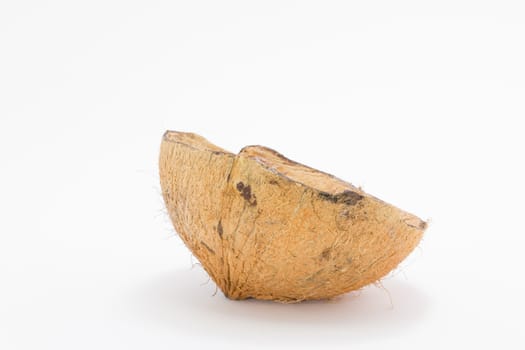 coconut shell