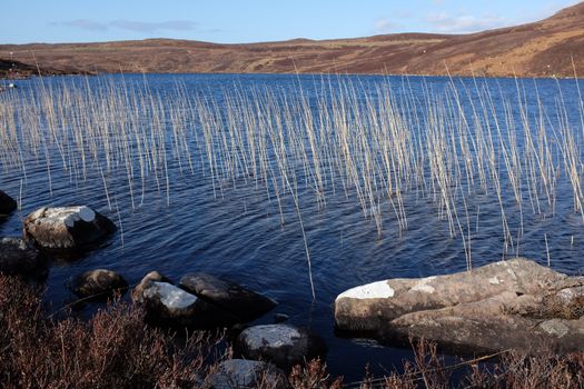 A lake environment with lichen covered rocks on the near shore leading to dried water grasses and moorland beyond.