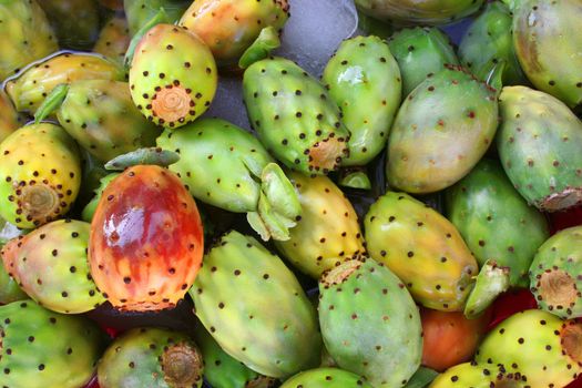 Tropical delicious cactus fruit