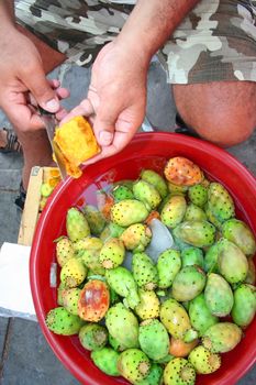 Tropical delicious cactus fruit