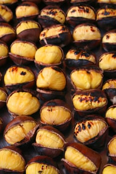 roasted chestnut