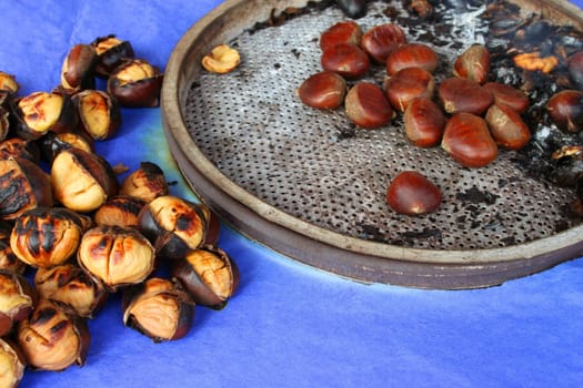 roasted chestnut