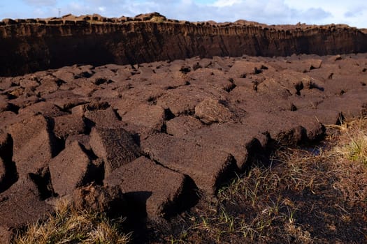 A section of moorland with a bank of peat cutting and the drying squares layed out.