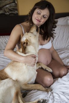 Pregnant Mother Relaxing On bed with labrador retriever, dog, Together