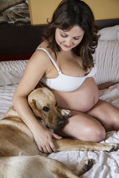 Pregnant Mother Relaxing On bed with labrador retriever, dog, Together