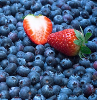 Freshly picked blueberries with strawberry, closeup background