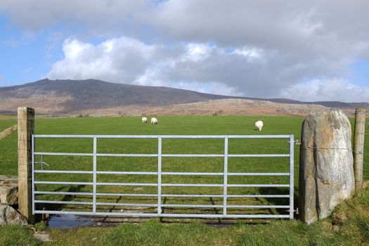 A metal gate with a stone post leads to lush green grass being grazed by sheep with a mountain in the distance under a blue cloudy sky.