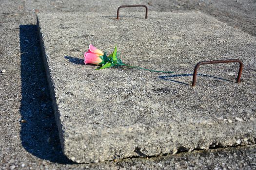 one plastic rose on concrete grave