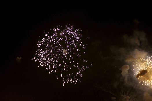 Colorful firework in the black night sky