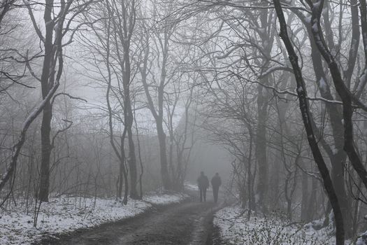 People walking by misty road in the park