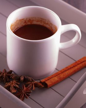 Hot chocolate cup with cinnamon and star anise