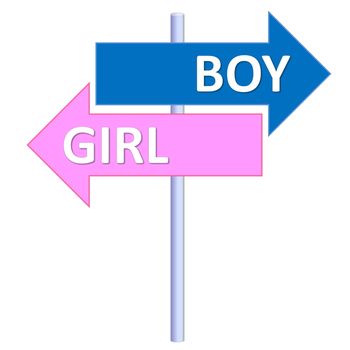 Signpost showing two different directions between boy and girl in white background