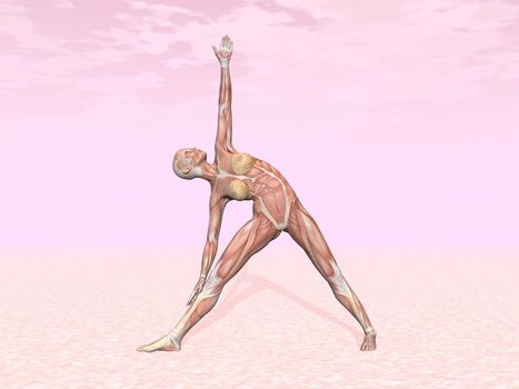 Triangle yoga pose for woman with muscle visible in pink background