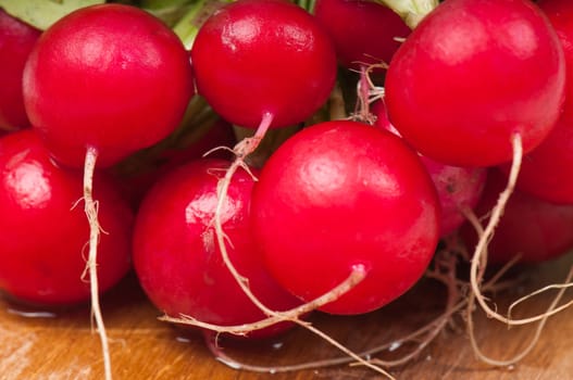 Small fresh garden radish on wooden board