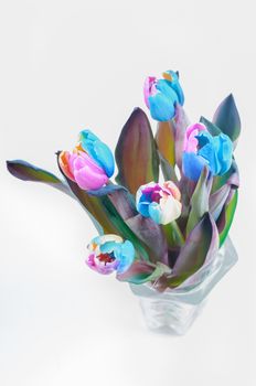 Top view on multi colored tulips in vase