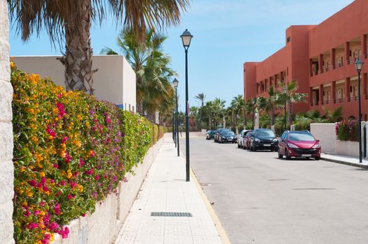 Fence of multicolored flowers bougainvillea in the city