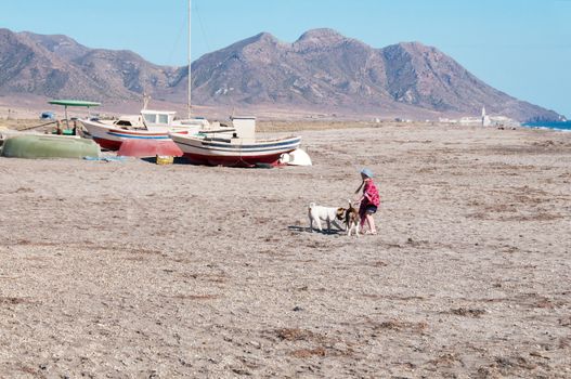 Small girl playing with dogs on the beach