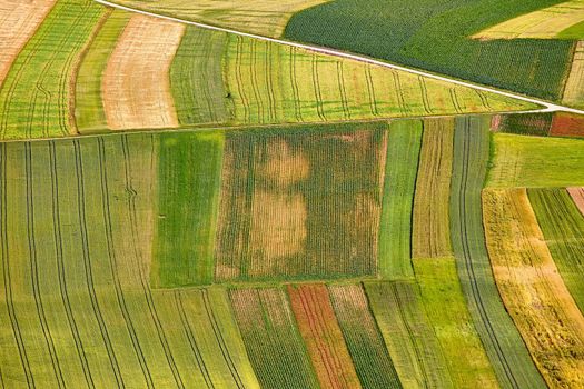 Aerial view of agricultural fields