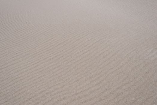 Sand texture with wind formed ripple pattern
