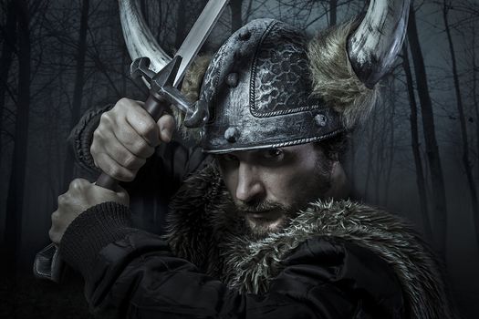 Viking warrior, male dressed in Barbarian style with sword, bearded