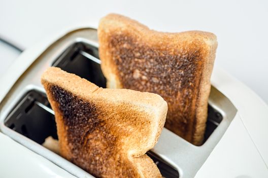 Close up of Toast in a toaster Path  ; does not include shadow under toaster