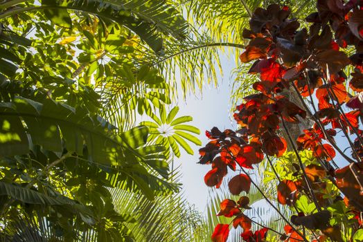 A green roof made of palm tree leaves 