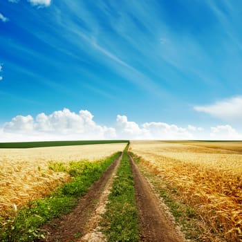 road in golden harvest to cloudy horizon
