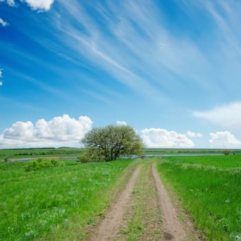 dirty road in green field and blue sky with clouds