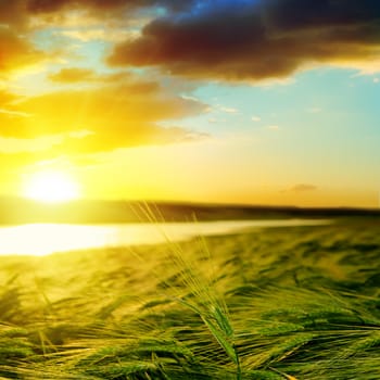 sunset over green field near water