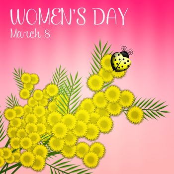 illustration of mimosa for Women's Day