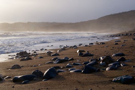 Charmouth beach mist spray Dorset England