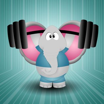 Elephant weightlifting in the gym