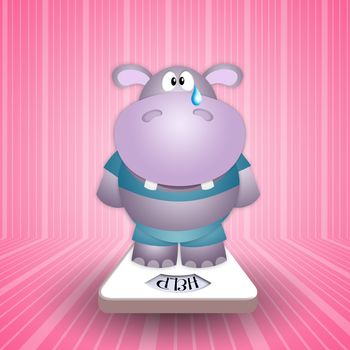 hippo crying on the scale