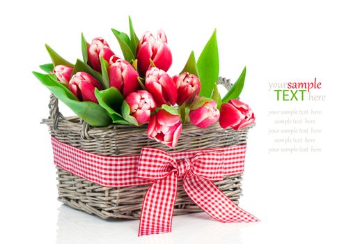 spring tulips in wooden basket, on white background. happy mothers day, romantic still life, fresh flowers