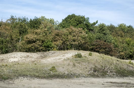 nature area called waterplas near the dutch place Rockanje