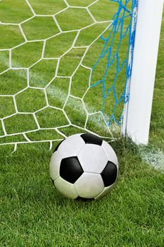 soccer ball in goal net with green grass