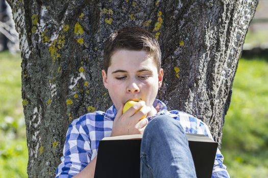 Young boy reading a book in the woods with shallow depth of field and copy space