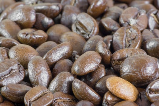 Macro of coffee beans