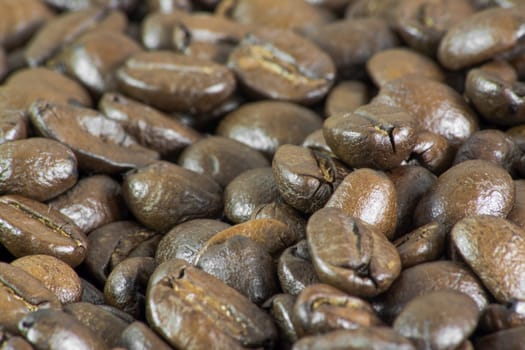 Details of coffee beans.