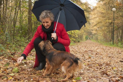 Middle aged woman in the autumn forest with her dog