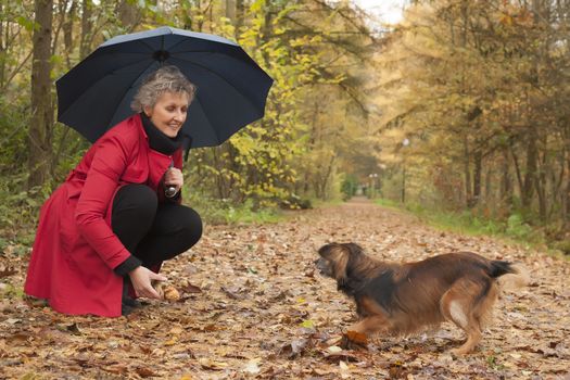 Middle aged woman in the autumn forest with her dog