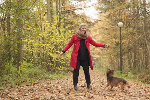 Middle aged woman in the autumn forest with her dog